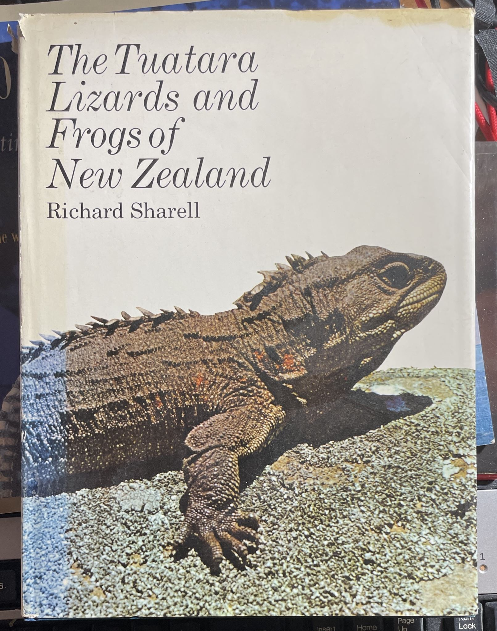 The Tuatara Lizards and Frogs of New Zealand by Richard Sharell
